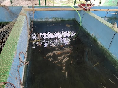 Aquaculture & Biodiversity Centre, Gauhati University