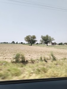 Adampur Hisar Haryana