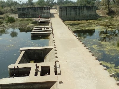 Udangi
