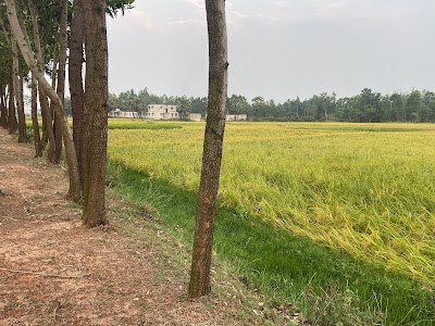 Maheshpur
