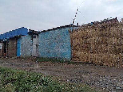 Pakri, Bihta, Patna