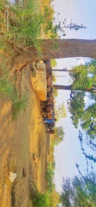 Deshgaon