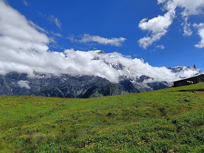 Kori Hill