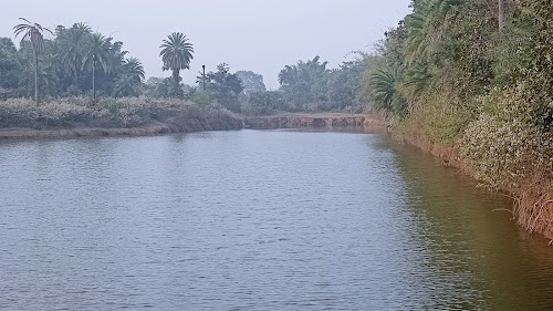 Railway station pond