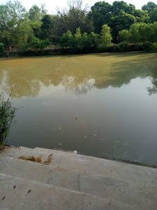 Alipura