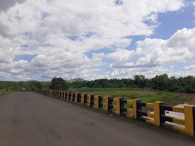 Bhensdara