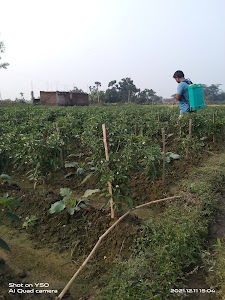 গাং ধুলাট পুরান মন্দির