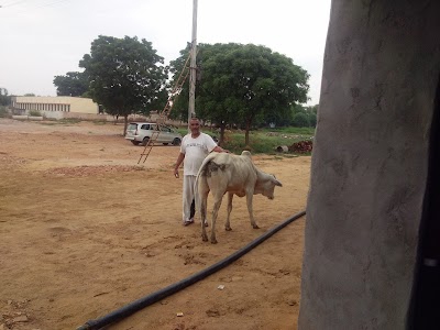 Kithana