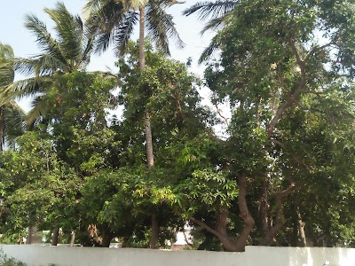 Ragolu