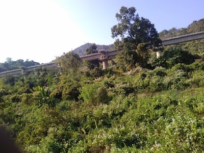 Mahur