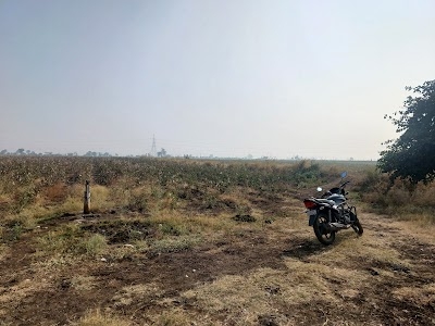 Mumbai Farm