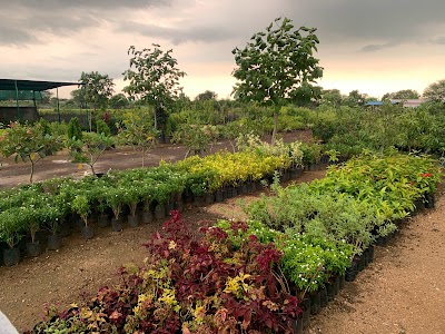 Krishna Nursery