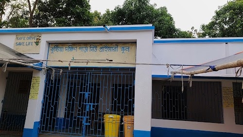 Kushtia Dakshinpara New Primary School ,Tehatta 1