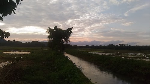 Kharkutta