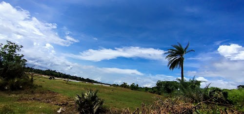 Alarpur