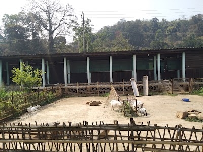 Goat Research Station