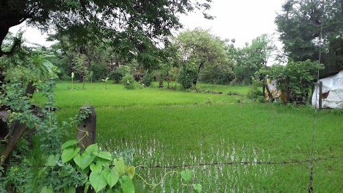 Nandore