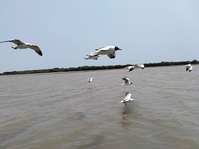 Chilika Lake