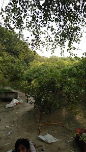 Sector 40