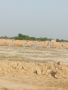 Chandra shekhar ajad inter college bahadurpur lakh kannauj