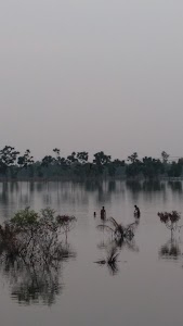 Juakhali