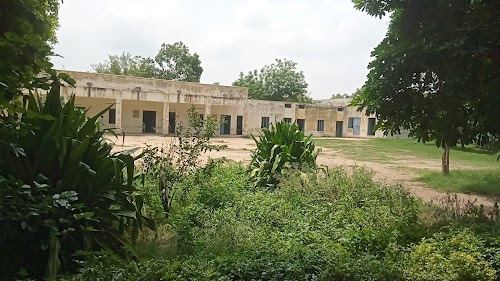 JJJK COLLEGE
