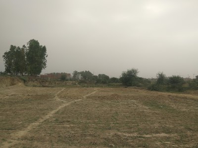 Jinholi