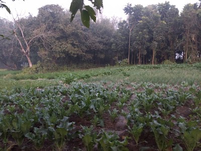 New Bajrang Hotel Champanagar