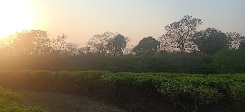 kasba