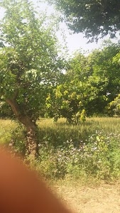 Akbarpur Buklana