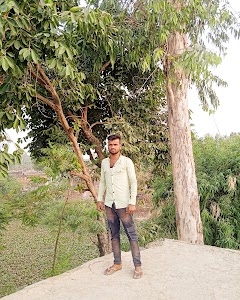 Damupura