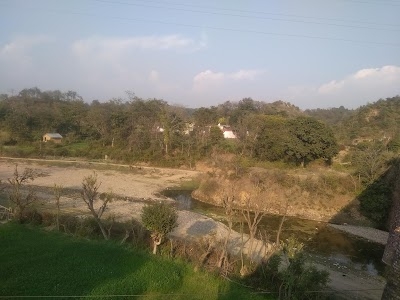 Nagrota Surian