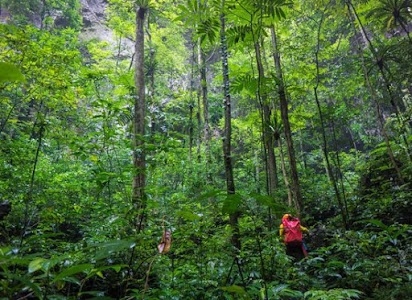 Phong Nha - Ke Bang National Park