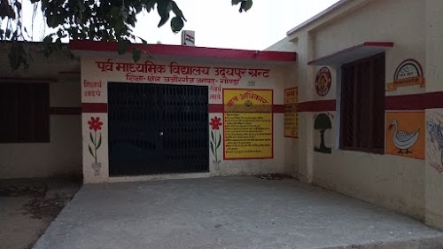 Udaipur Grint