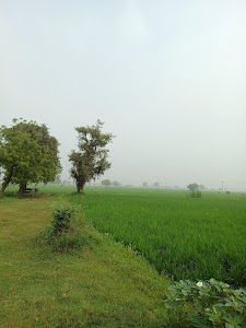 Shree nathji farm