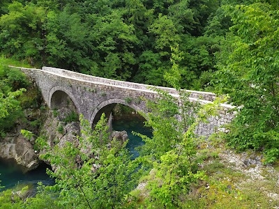 Danilov most