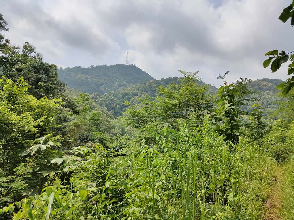 Amchang Wildlife Sanctuary