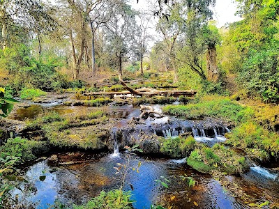 Tiriya