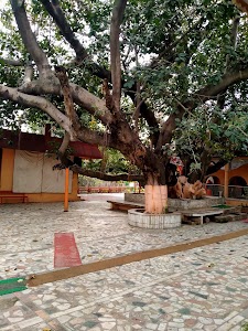 Nadi Par Vale Swami Ji Ki Kutiya