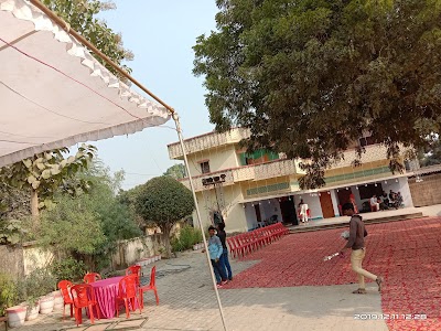 Pure Jamidar
