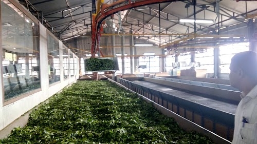 Tea Factory Equipment & Spare Supplier
