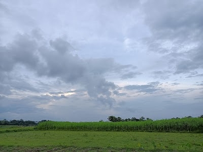 Dhunpune Chauputhi