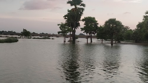 Jagannath Mishra College Bridge