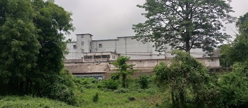 Africa Cold Storage