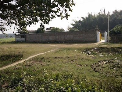 Pothimari
