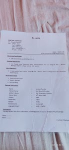 P.S. Placement Service