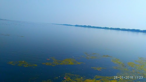 Tarakpur