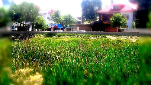 Rawalpora