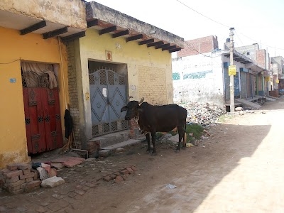 Budh Vihar, Bahrampur, Nai Basti Dundahera