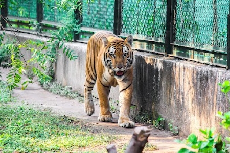 Sarthana Nature Park